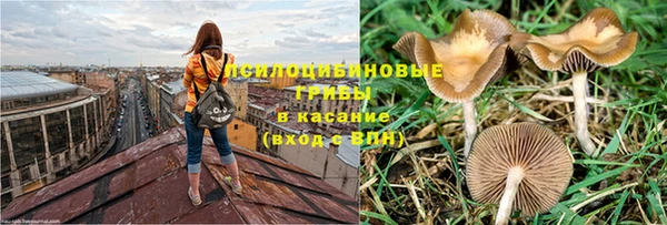 молекула духа Белокуриха