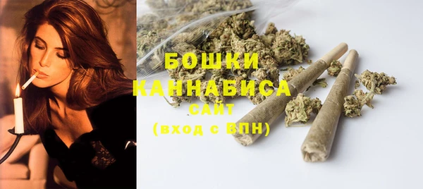 молекула духа Белокуриха